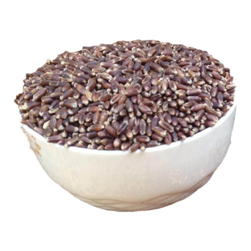 山东农家 黑小麦粒 黑麦子带皮麦麸小麦仁颗粒500g食用杂粮粗粮