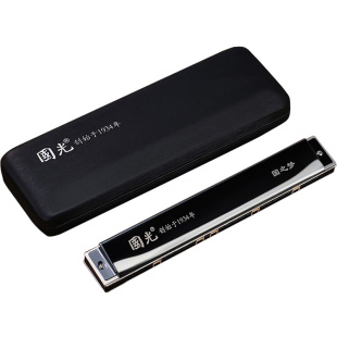 国光口琴正品男士28孔24孔复音重音高级成人初学者c调专业演奏级