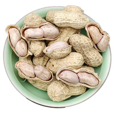 2025年11月挖的水煮花生晒干原味广西酒席结婚用即食钓鱼零食