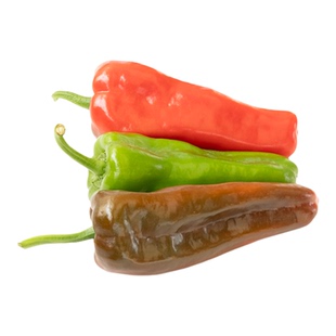 现摘现发新鲜花色辣椒青辣椒红辣椒紫辣椒混装微辣肉厚大菜椒蔬菜