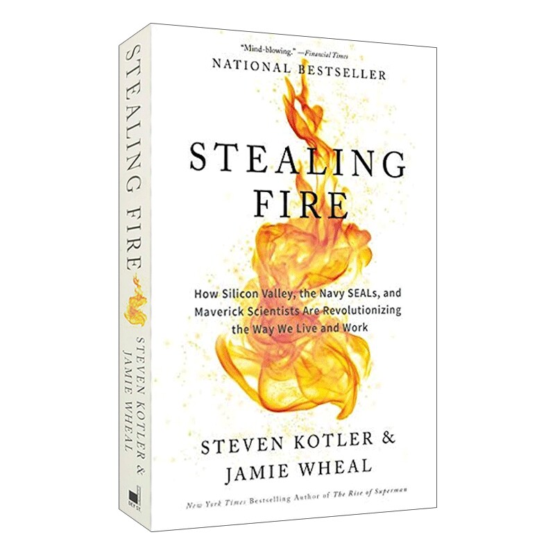 英文原版StealingFire盗火硅谷