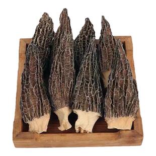 正品金堂羊肚菌特级干货特产煲汤头茬新货非野生云南牛肚菌菇蘑包