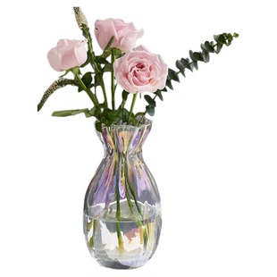 网红创意玻璃花瓶透明水养玫瑰百合郁金香客厅餐桌钱袋子水培器皿