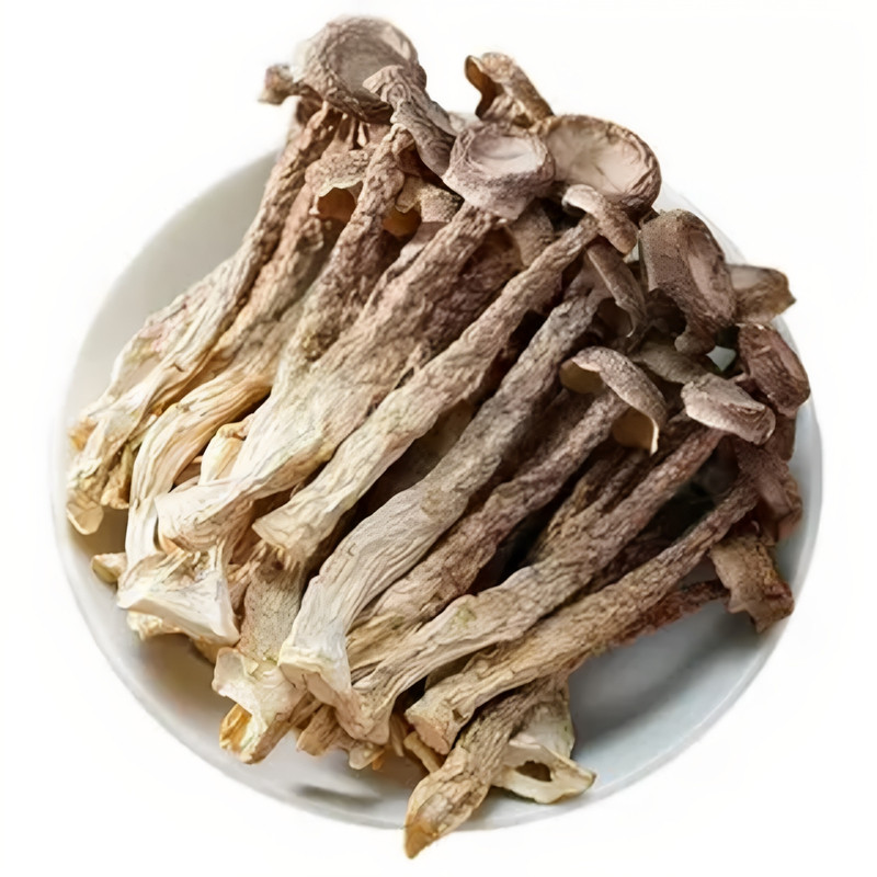 云南鹿茸菌菌菇蘑菇香菇金针菇