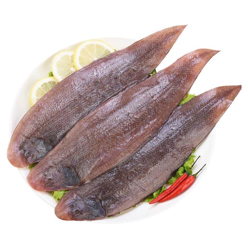 龙利鱼新鲜冷冻舌头鱼深海踏板鱼海鲜水产牛舌鱼非巴沙鱼商用