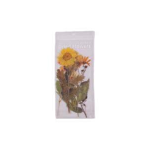贴纸仿干花雏菊手账素材pet蕨类