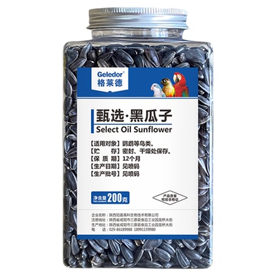 格莱德鹦鹉小黑瓜子油葵买2发3