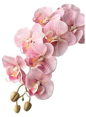 态生活9头手感保湿蝴蝶兰仿真花