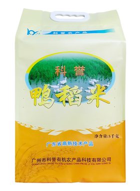 科誉丝苗米籼米5kg10斤长粒米