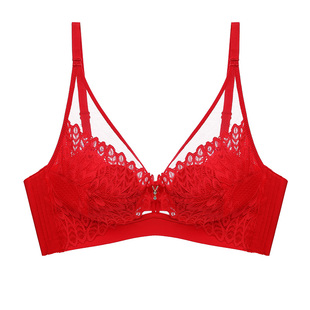 （拍五发6）伊丝艾拉正品大胸显小显瘦85BCDE杯文胸（三件包邮）