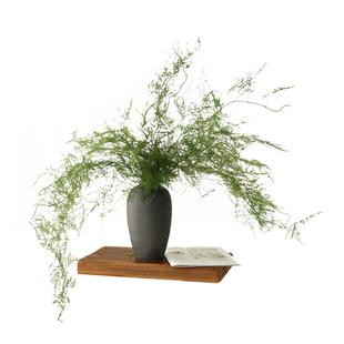 仙气文竹永生花干花花束客厅摆设门店酒店民宿装饰插花高级感真花