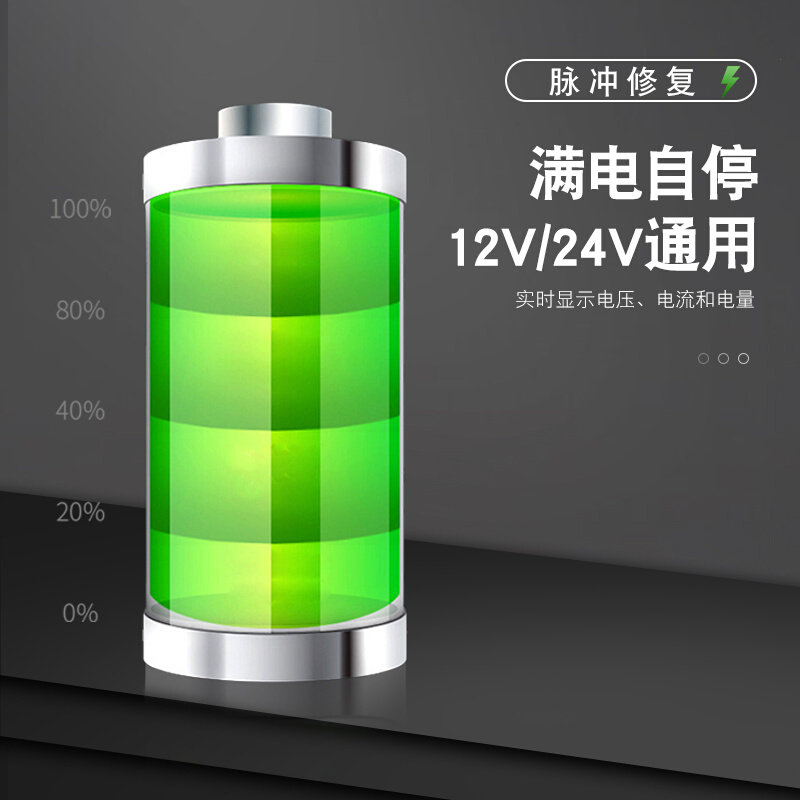 适用力帆330ev/650 ev/x50汽车电瓶充电器12v伏智能修复蓄电池24v