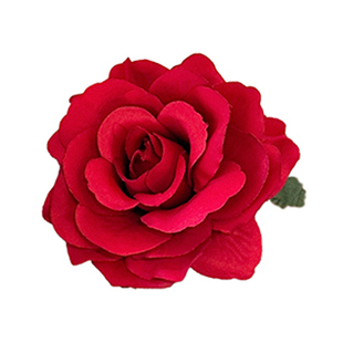 氛围感红花头饰玫瑰花发夹边夹侧边发卡女2025新款大花朵头花发饰