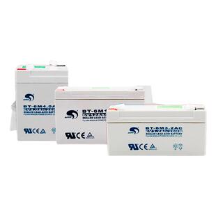 赛特蓄电池BT-6M4.5AC/6V4.5AH电子吊秤12A7A儿童车定位仪12V电瓶
