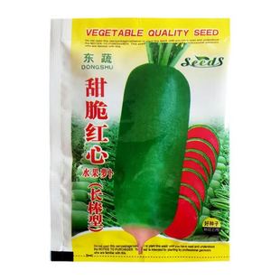 甜脆红心水果萝卜种子农家新鲜青皮红萝卜种籽生吃蔬菜种籽大全