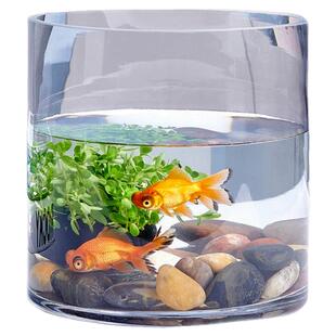 金鱼缸 玻璃 水族箱小型创意生态圆形 圆柱大号乌龟缸 造景配饰缸