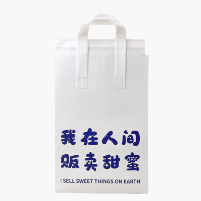 蛋糕保温袋一次性生日蛋糕无纺布