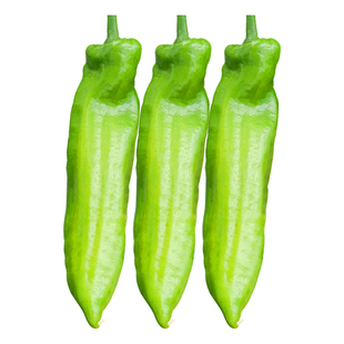 特大牛角椒种子大果羊角青椒尖椒辣椒种籽苗高产春季蔬菜苗孑籽种