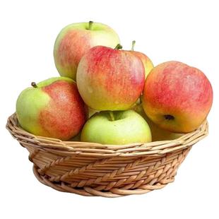 2025年新苹果陕西红苹果嘎啦伏果5斤特价美八秦阳酸甜小鲁丽