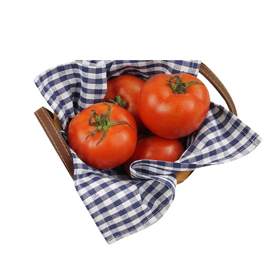 有机西红柿自然熟现摘现发