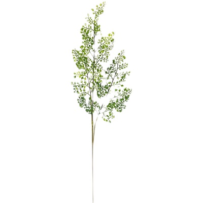 斑驳陆离热带仿真绿植铁线莲