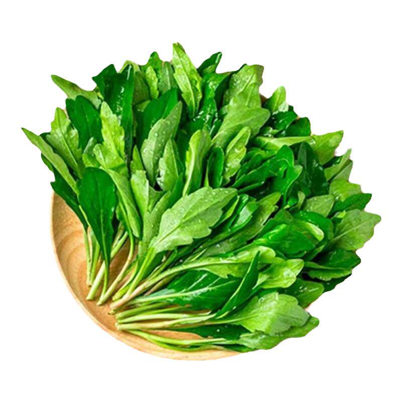 新鲜野菜上海崇明马兰头山坡菜 鸡儿肠一份包邮产地直销现摘现发