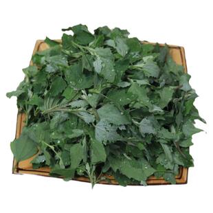 农家山野菜新鲜灰灰菜保健蔬菜野生凉拌菜时令蒸菜现挖高钙菜包邮