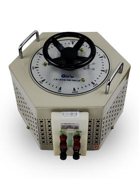 TDGC2J单相220v调压器250v可定制