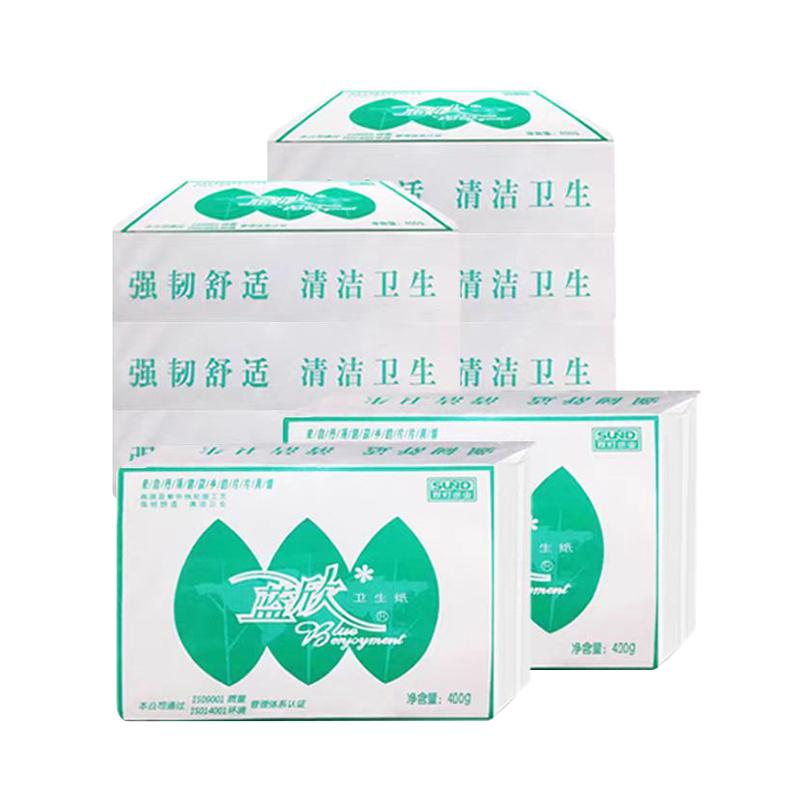 蓝欣卫生纸双灯400克实惠装