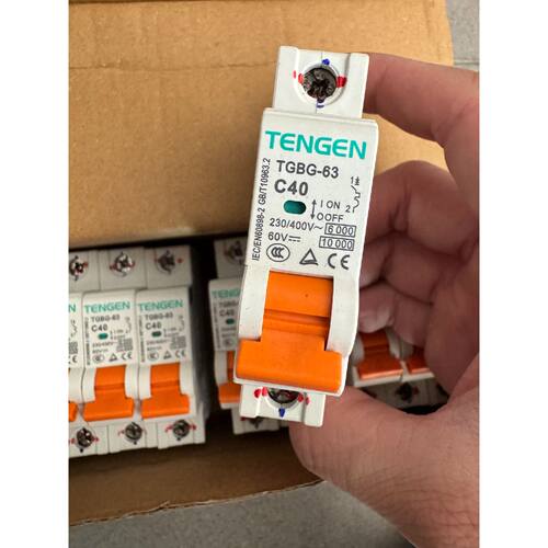 〔议价-可维修〕TENN/断路器 TGBG-63 1P C4