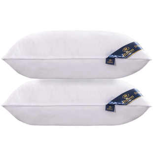 希尔顿逸林五星级酒店枕头枕芯柔软羽绒枕单人家用可水洗护颈一对