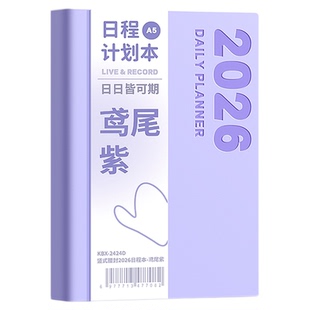 2026年全年日程本一日一页周计划表自填式时间轴记事每日计划本