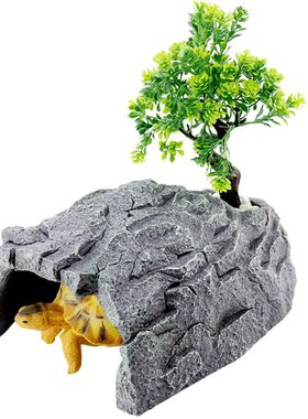 陆龟躲避洞穴躲避屋守宫台乌龟窝