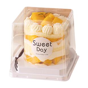 2寸3寸蛋糕包装盒迷你透明吸塑慕斯千层大泡芙小西点打包盒子二三