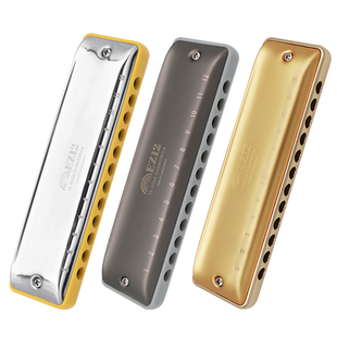 【85折】孔声12孔全音阶布鲁斯口琴孔声小金条新手成人进阶专业