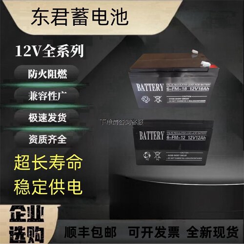 BATTERY蓄电池6FM1812V33AH40A24A55AH18A东君集中电源36V应急
