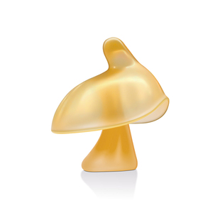 飞利浦新安怡牙胶婴儿防吃手小月龄宝宝蘑菇牙咬安抚磨牙棒34个月