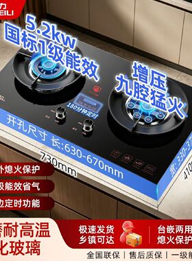 威力双灶猛火灶台式天然气燃气灶具液化气煤气灶嵌入式节能家用