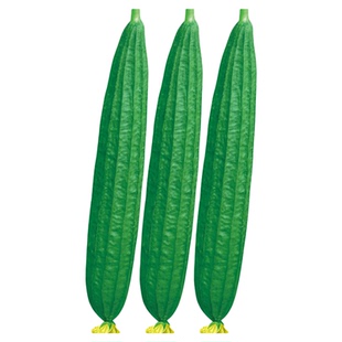 棱菱形丝瓜八角瓜专用点花药蘸花药授粉药顺直王坐果座果灵蘸花药