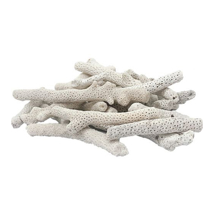 精选造景级珊瑚骨长枝平衡PH值滤材淡水海水通用未漂白原色送网袋