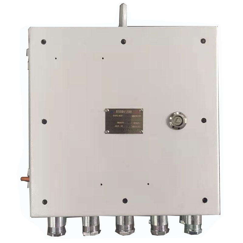 双层门粉尘仪表按钮控制箱 车间纺织印染碳钢检修电源配电箱 厂家