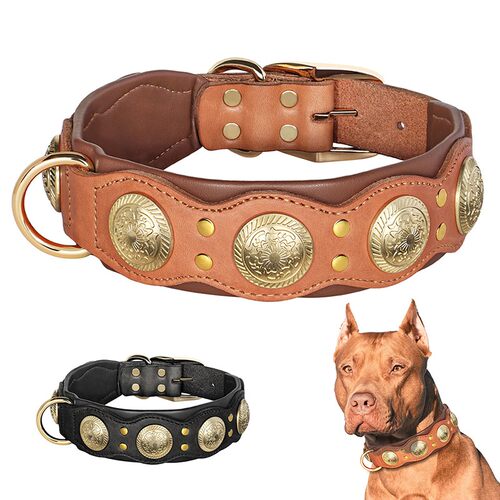 耐用项圈高颜值牛皮大型犬专用脖圈宠物马犬防咬脖套拉布拉多牵引