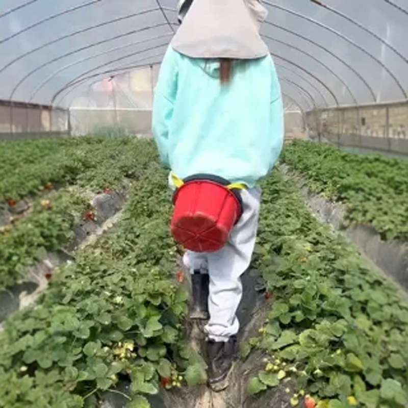 干农活神器懒人凳子大棚专用懒汉凳随身农用种菜小板凳泡沫挖蒜墩