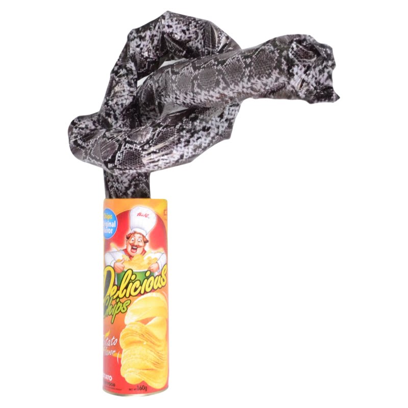 薯片蛇，激动的心，颤抖的手！