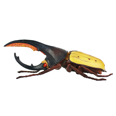 儿童仿真昆虫模型动物独草蜢七星