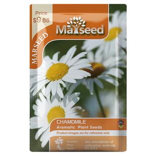 【掌柜推荐】正宗进口德国罗马洋甘菊柠檬草薰衣草花种子籽阳台