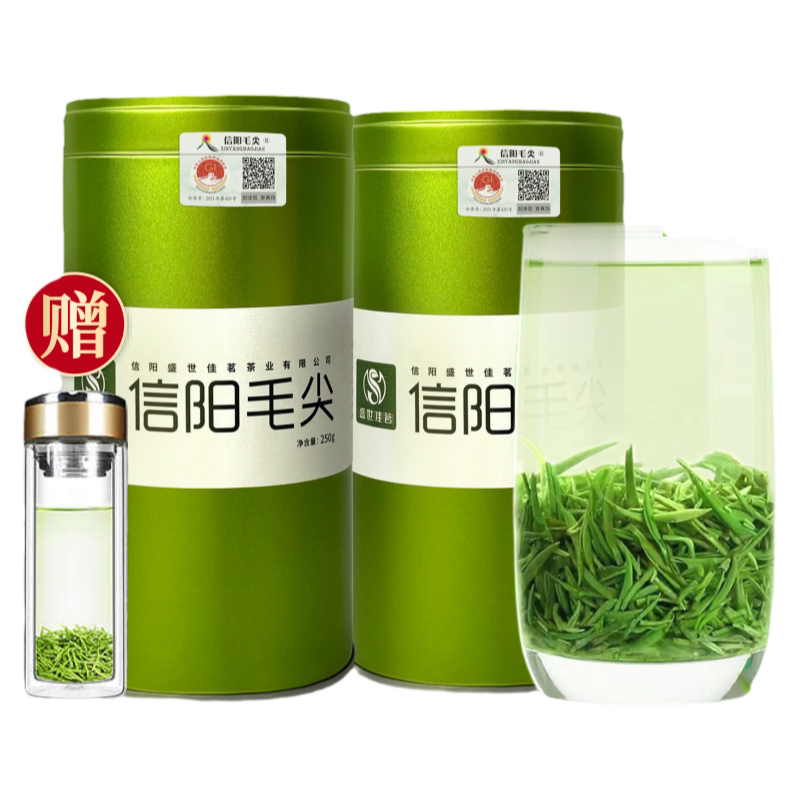 2026新茶信阳毛尖一级嫩芽浓香型