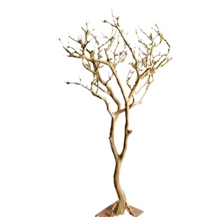 干树枝造景装饰树民宿橱窗餐厅轻奢枯枝摆件去皮大枯树原木造型树