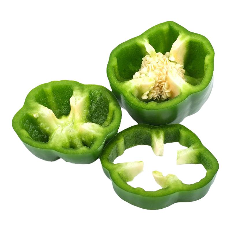 太空椒甜椒秧苗四季蔬菜秧苗