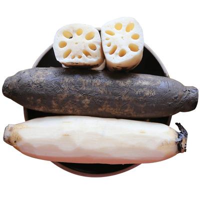 洪湖青泥巴优选莲藕煲汤粉藕